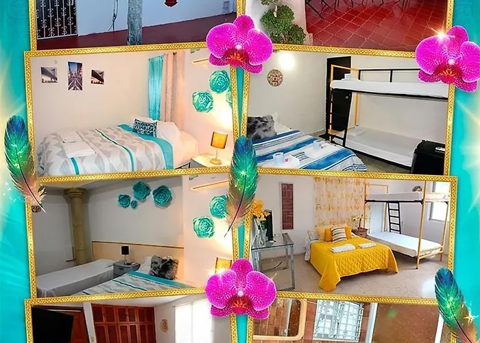 Casas Calis
